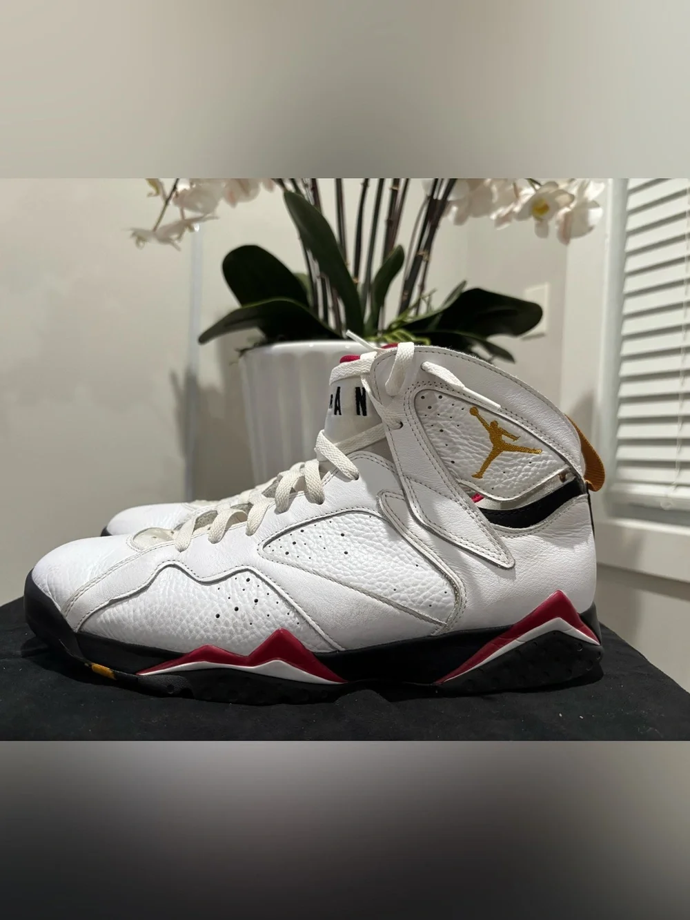 Air Jordan 7 Retro “Cardinal” (2022)